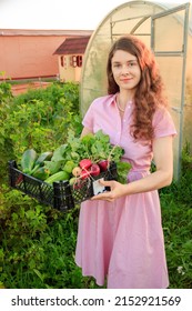 Young woman in the garden holding basket of fresh vegetables: radishes, zucchini, cucumbers and tomatoes in sunny evening. Sustainable gardening, growing organic food, healthy living and wellbeing
