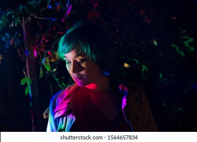 Garden Illuminated Stock Photos Images Photography Shutterstock