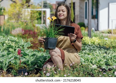 Young woman gardener with perennial plant and gadget in hands - Shutterstock ID 2176218045