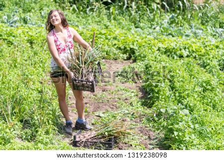 Young woman girl farmer harvesting garlic bulb in farm or garden holding basket with bunch of vegetables happy smiling