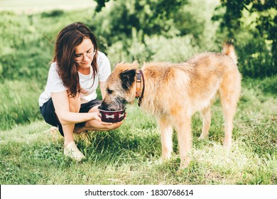 Young Woman Gives To Drink Her Dog For A Walk In The Forest. Summer Heat And Dehydration Of Animals 