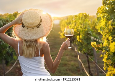 Young woman with glass of wine in vineyard on sunny day, back view - Shutterstock ID 1912225591