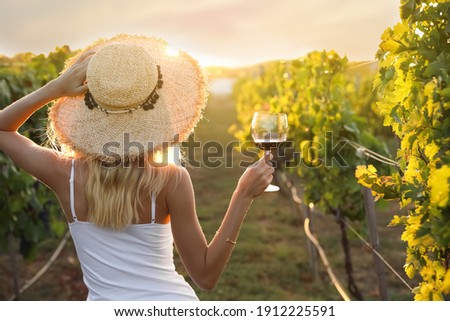 Young woman with glass of wine in vineyard on sunny day, back view