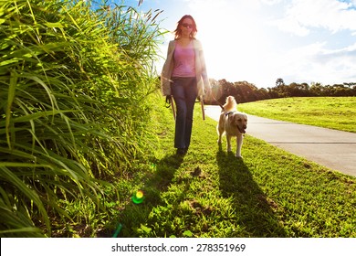 Young Woman And Golden Retriever Walking In The Long Grass