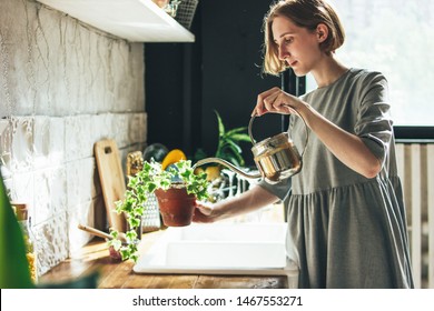 Young Woman In Grey Dress Sprays Water On Houseplant In The Kitchen, Slow Life