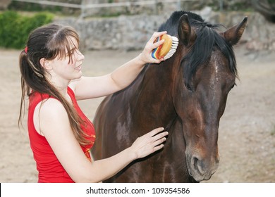 Young Woman Grooming Her Horse