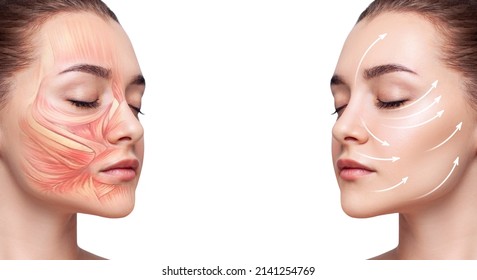 Young woman with half of face with muscles structure under skin. - Shutterstock ID 2141254769