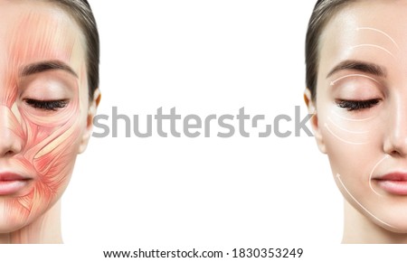Young woman with half of face with muscles structure under skin. Over white background.