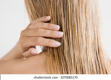 Young woman with hand touching her wet, blonde, perfect hair after shower on the gray background. Care about beautiful, healthy and clean hair. Beauty salon concept. Back view.