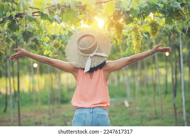 Young woman with with a hat and orange dress walking in autumn sunset playing with grape vines . vineyard field. Wine tasting in outdoor winery. Grape production and wine making concept. - Powered by Shutterstock