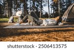 Young woman with headphones lying down on the grass have guided meditation on the mountain