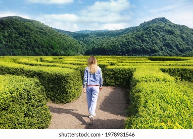 Young Woman In Hedge Maze On Sunny Day, Back View