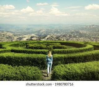 Young woman in hedge maze on sunny day, back view