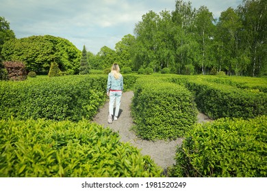 Young Woman In Hedge Maze On Sunny Day, Back View