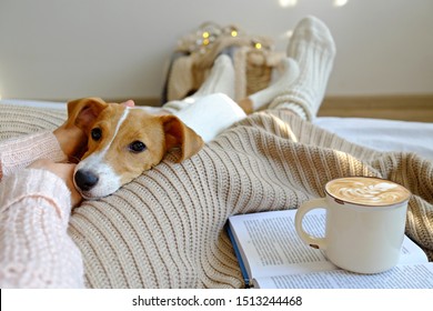 Young woman and her adorable jack russell terrier puppy sitting on couch cozied up, covered with blanket. Lazy afternoon at home with loved pet concept. Close up, copy space, interior background.