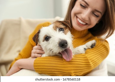 Young woman with her cute Jack Russell Terrier at home, closeup. Lovely pet