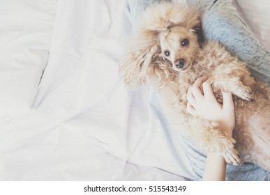 Young Woman With Her Dog  In A Bed.