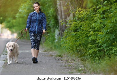 can dogs run on pavement