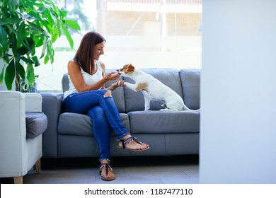 Young Woman With Her Dog At The Vet Waiting Room