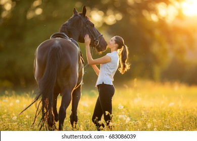 Young woman with her horse in evening sunset light. Outdoor photography with fashion model girl. Lifestyle mood