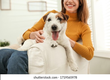 Young woman with her Jack Russell Terrier in armchair at home. Lovely pet - Powered by Shutterstock