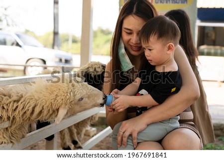 Young woman and her little son happy feeding a sheep