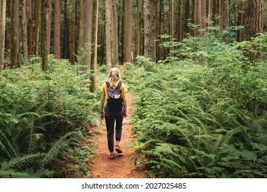 Young woman hiking among the ferns in Berthusen Park in Lynden, Washington.