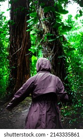 Young Woman Hiking - Maui, Hawaii