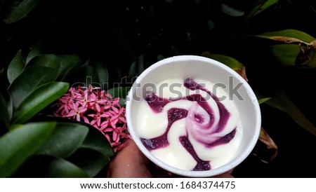 Young woman holding blueberry cheesecake ice cream dessert against nature background.