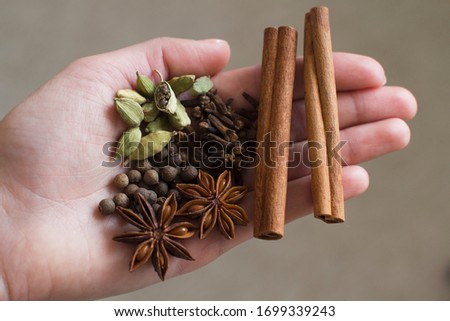 young woman holding cinnamon, cardamom, cloves, black aroma pepper, star anis in her hand