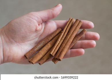 Young Woman Holding Cinnamon Sticks In Her Hand