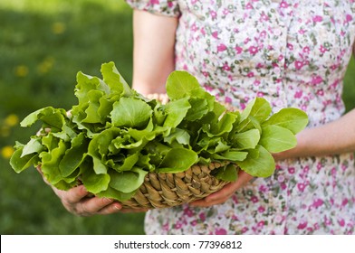 Young Woman Holding Green Salad Outdoor Close Up