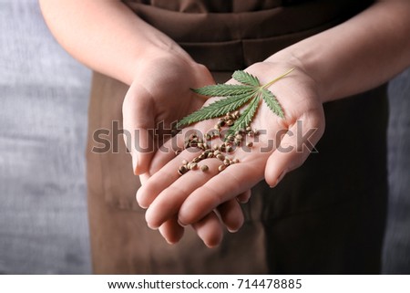 Young woman holding hemp seeds on grey background, closeup