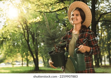 Young woman holding pot with conifer tree and watering can in park on sunny day