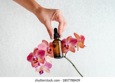 
Young woman holds an essence for skin in her hands. Tropical orchid flowers. Unisex cosmetics. Place for  text.  Spa natural organic products.
Anti-age cosmetics for men and women. 