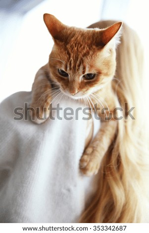 Young woman holds red cat in hands, close up, back view
