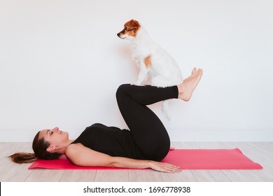 young woman at home doing yoga on a mat. cute small dog besides. healthy lifestyle concept