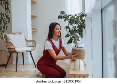 Young woman at home puts home plant in a pot on the windowsill - Powered by Shutterstock