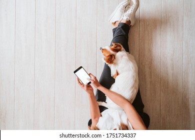 Young Woman At Home Using Mobile Phone, Cute Small Dog Besides. Work From Home Concept