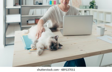 Young Woman At Home Working At Desk And Cuddling Her Lovely Cat, Pets And Lifestyle Concept