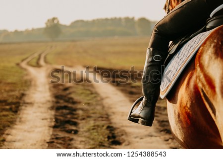Young woman horseriding in sunset on the fields. Close up