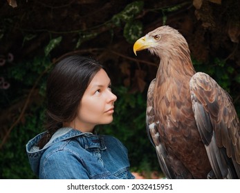 A young woman with a huge mountain eagle on her glove, birds of prey and a human - Powered by Shutterstock