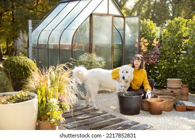 Young woman hugs with her adorable dog while planting flowers in jugs at garden. Housewife gardening and spending time with pet at backyard - Powered by Shutterstock