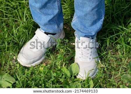 Similar – Person standing on a path with a green leaf nearby