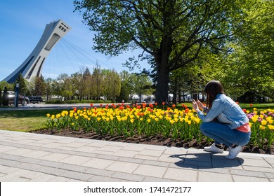 Young woman kneeling down to take pictures of colorful tulips with her cellphone, with the olympic stadium tower on the left hand side, in Montreal, Canada