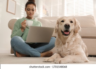 Young woman with laptop and her Golden Retriever at home. Adorable pet