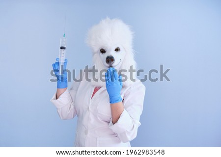 Young woman in a latex dog head mask and white coat holding a big syringe and giggle on a blue background. Doctor medical veterinary concepts.