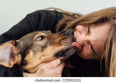 dog licking gay chat site
