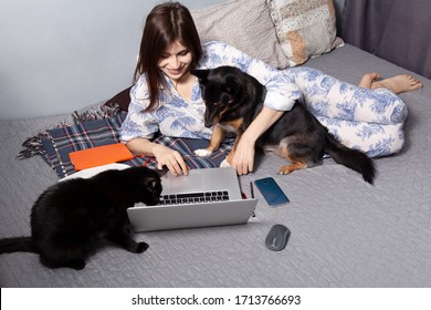 The young woman lays on a bed and works on her pc. The dog and cat lays with her.  - Powered by Shutterstock