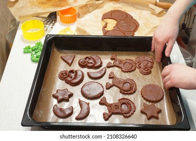 A young woman lays out the gingerbread cookies squeezed out of the rolled dough into a tray.                                